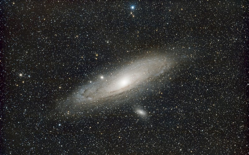 Temporal Loops